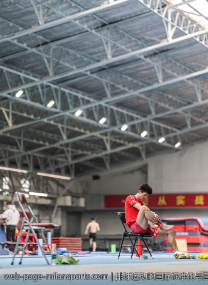 排球运动的国际标准化与国际合作项目介绍